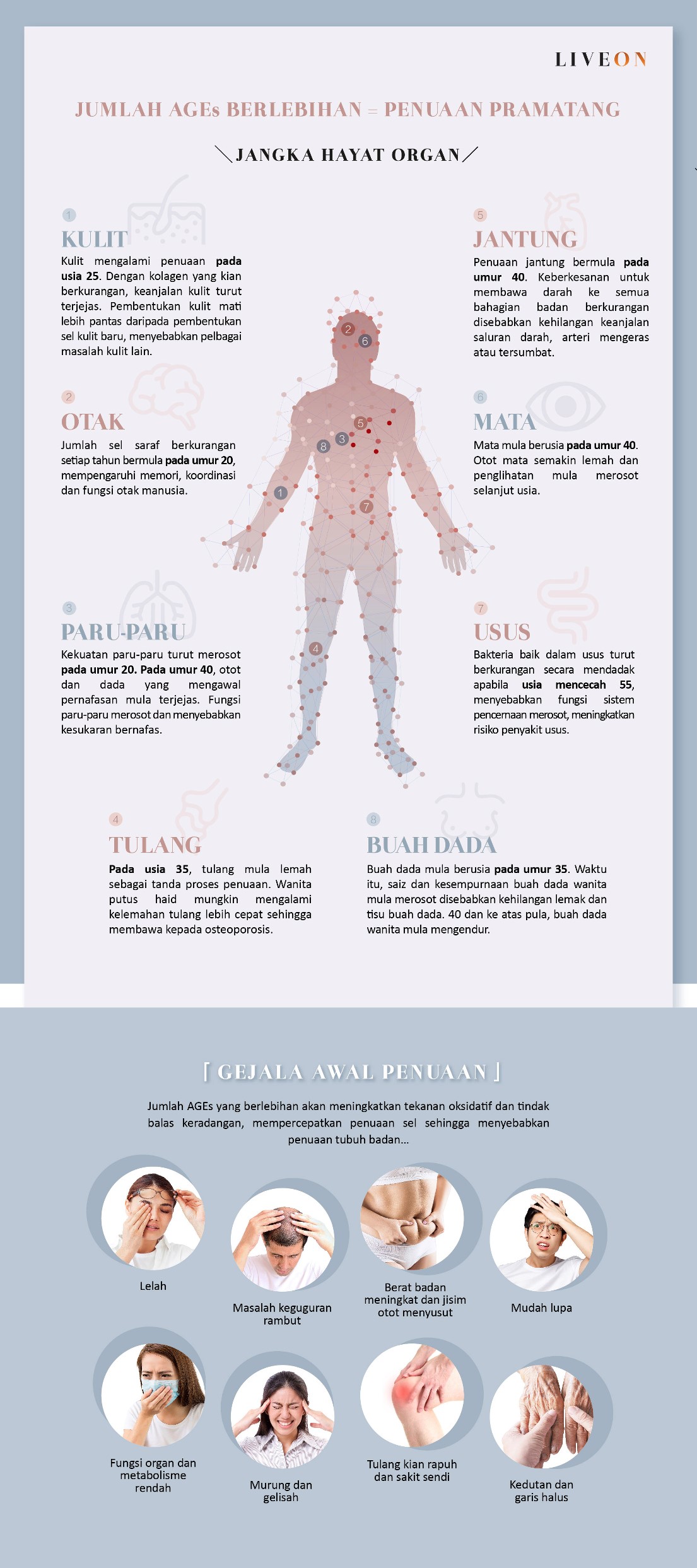 LIVEON -  the early Symptoms of Ageing 