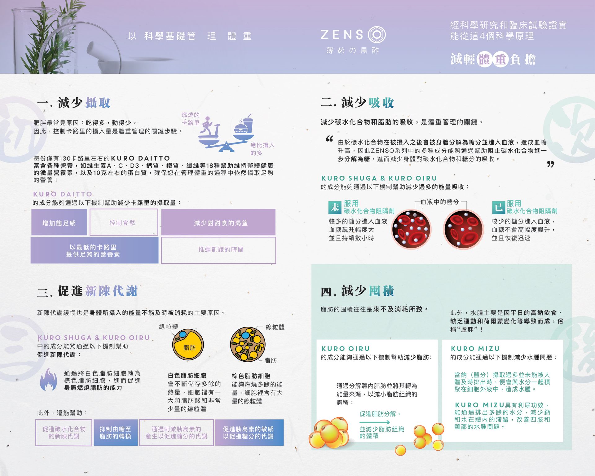 Wellous Zenso Wellnessmall Malaysia Signgapore